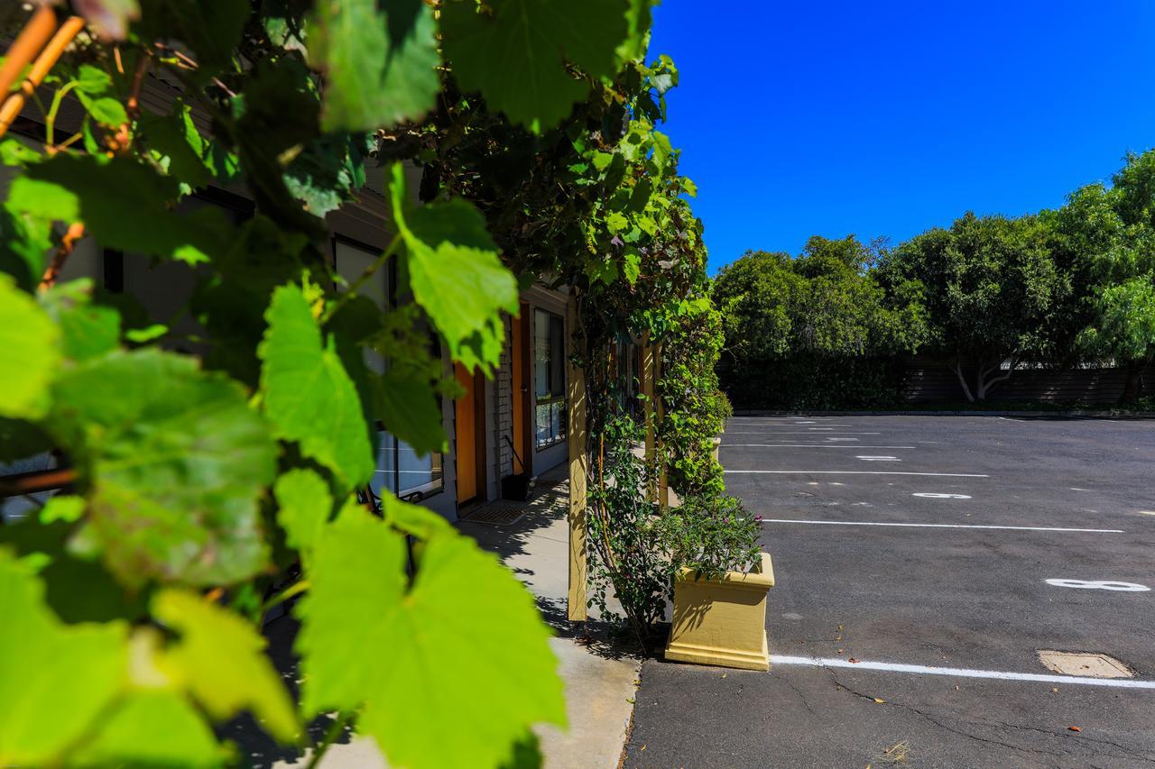 Country Roads Motor Inn Naracoorte Esterno foto